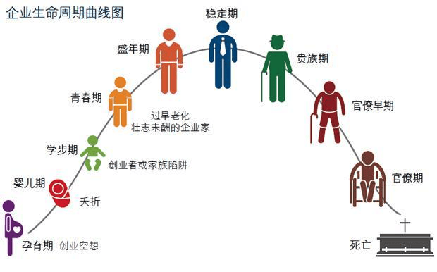 图片[2]-企业生命周期阶段及其管理特征-中小企实战运营与营销工作室