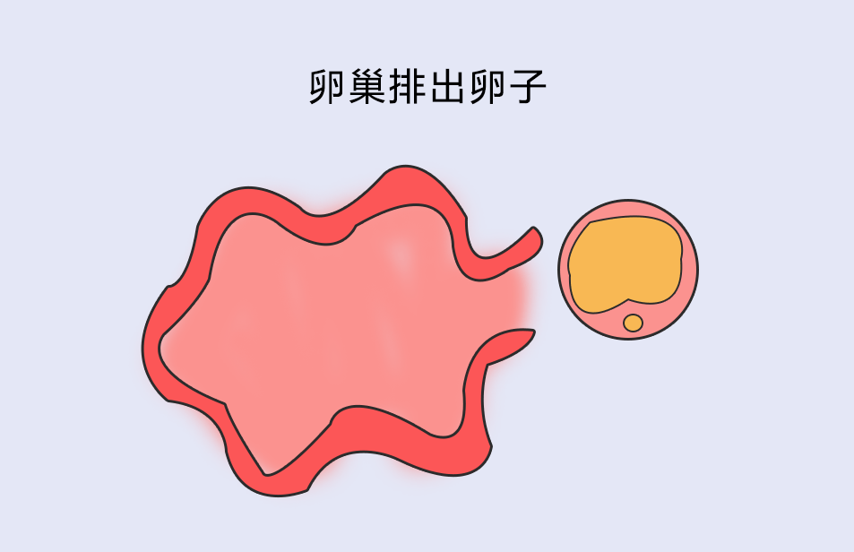 要抓住女性怀孕的"黄金"时间