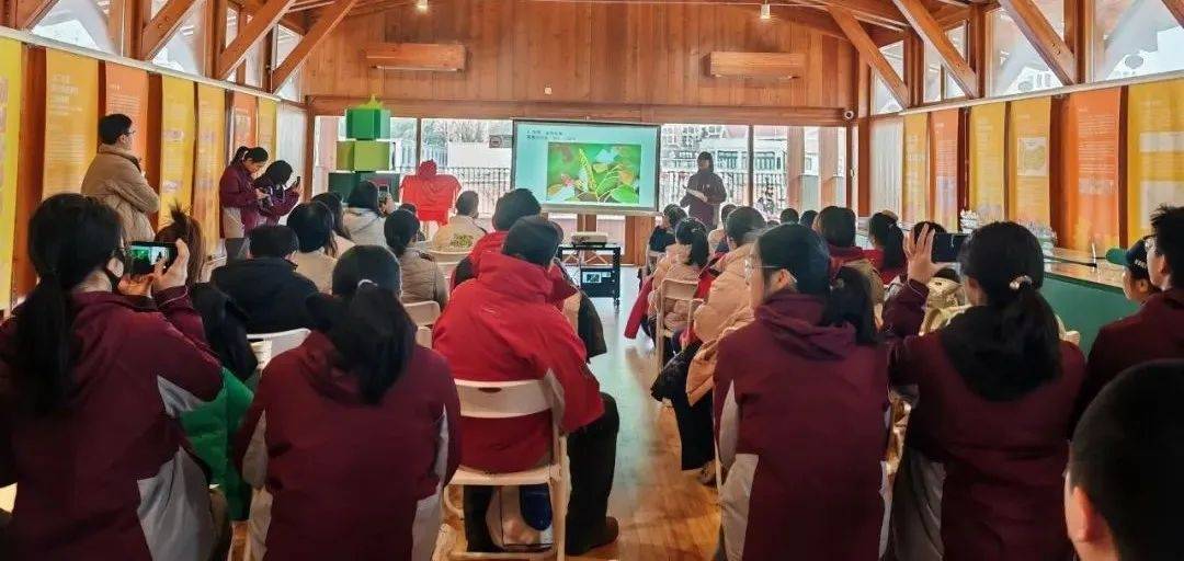 长宁外环林带生态绿道：乌桕树下的自然之旅