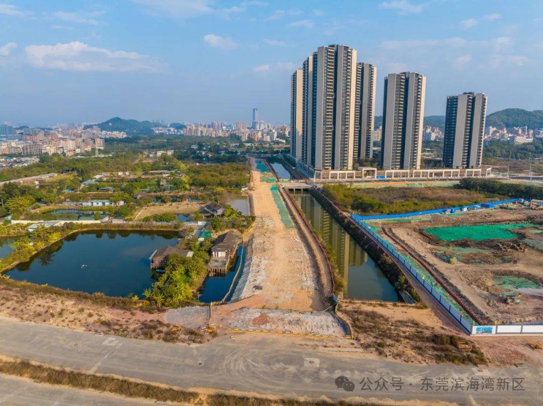滨海湾威远岛交通建设加速：多条道路齐头并进 滨海湾威远岛：交通建设助力城市发展新阶段