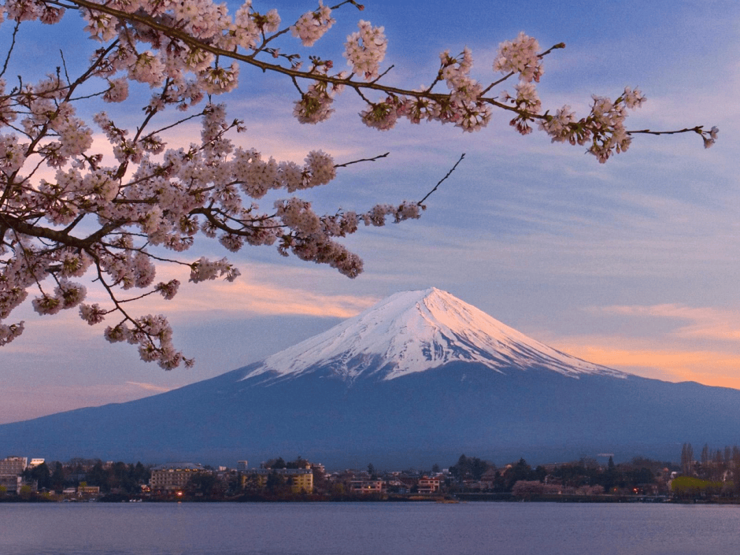 日本旅游新貌：传统与现代交织的美丽画卷
