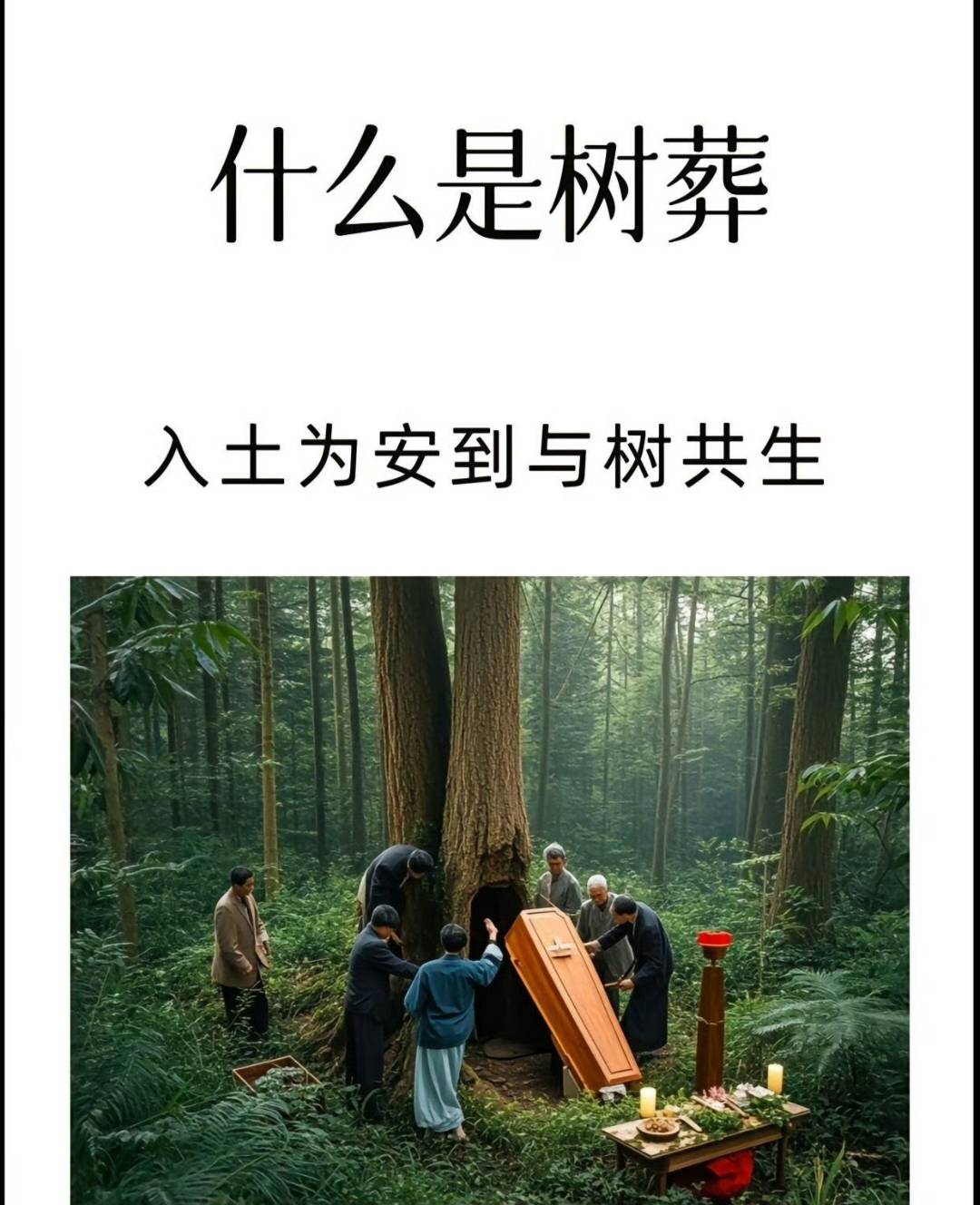 一棵树上吊死啥意思(一棵树上吊死的人什么心态)