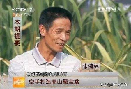 致富经视频全集2023(致富经cctv7视频全集)