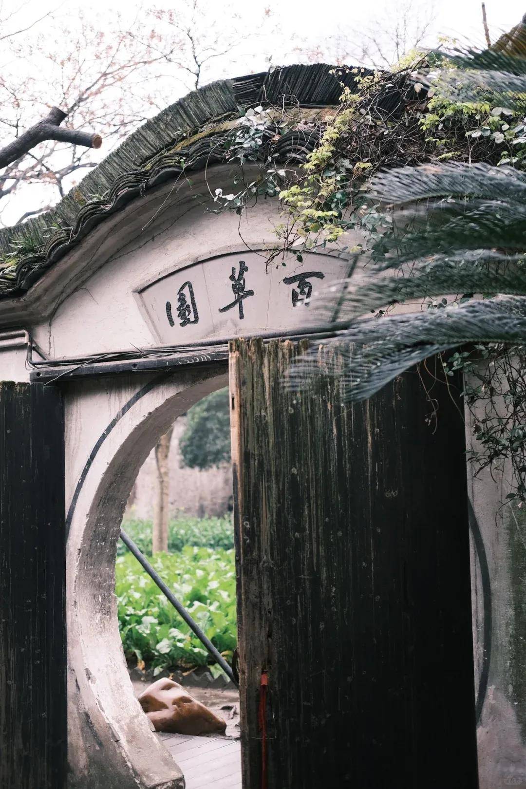 多彩诗画探访江南