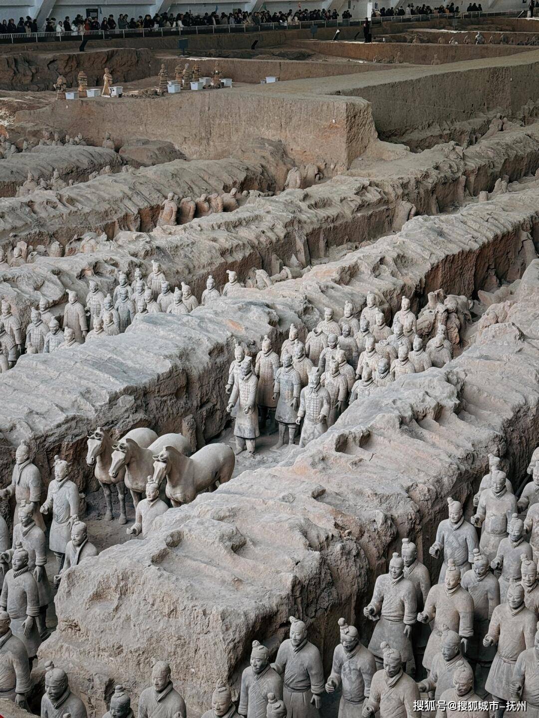 西安之旅：欣欣导游让旅行省心又精彩