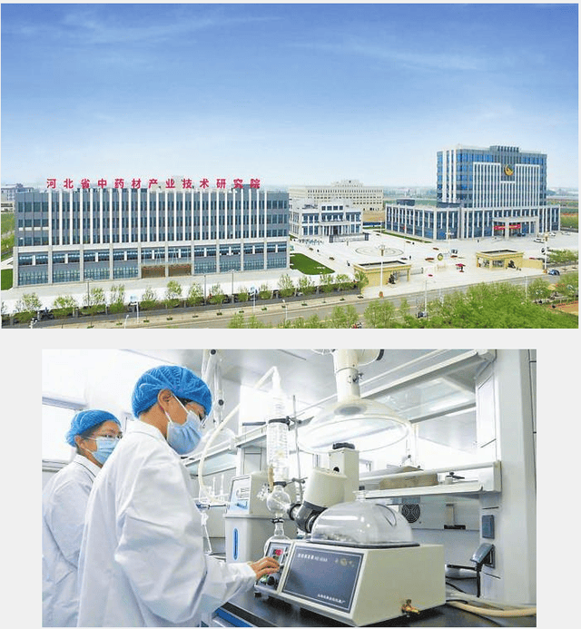 金木集团:品质领航,铸牢中医药大健康产业创新发展根基