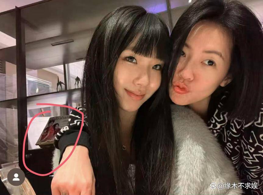 大S豪宅：从温馨港湾到寂寥空宅的转变，大S豪宅：繁华落幕，遗物命运成谜