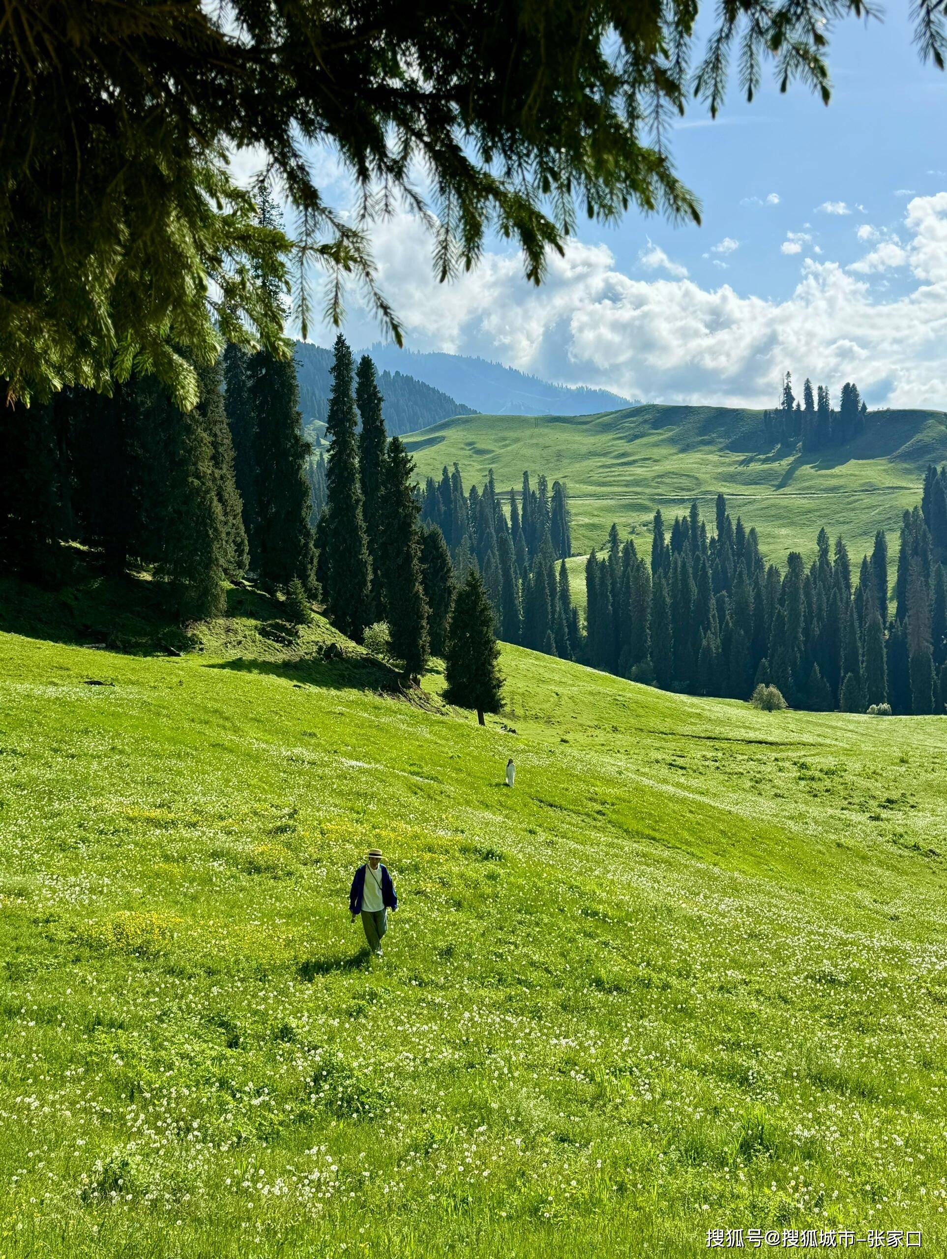 同时新疆还是多民族聚居的地区各民族文化交融共生形成了独具特色
