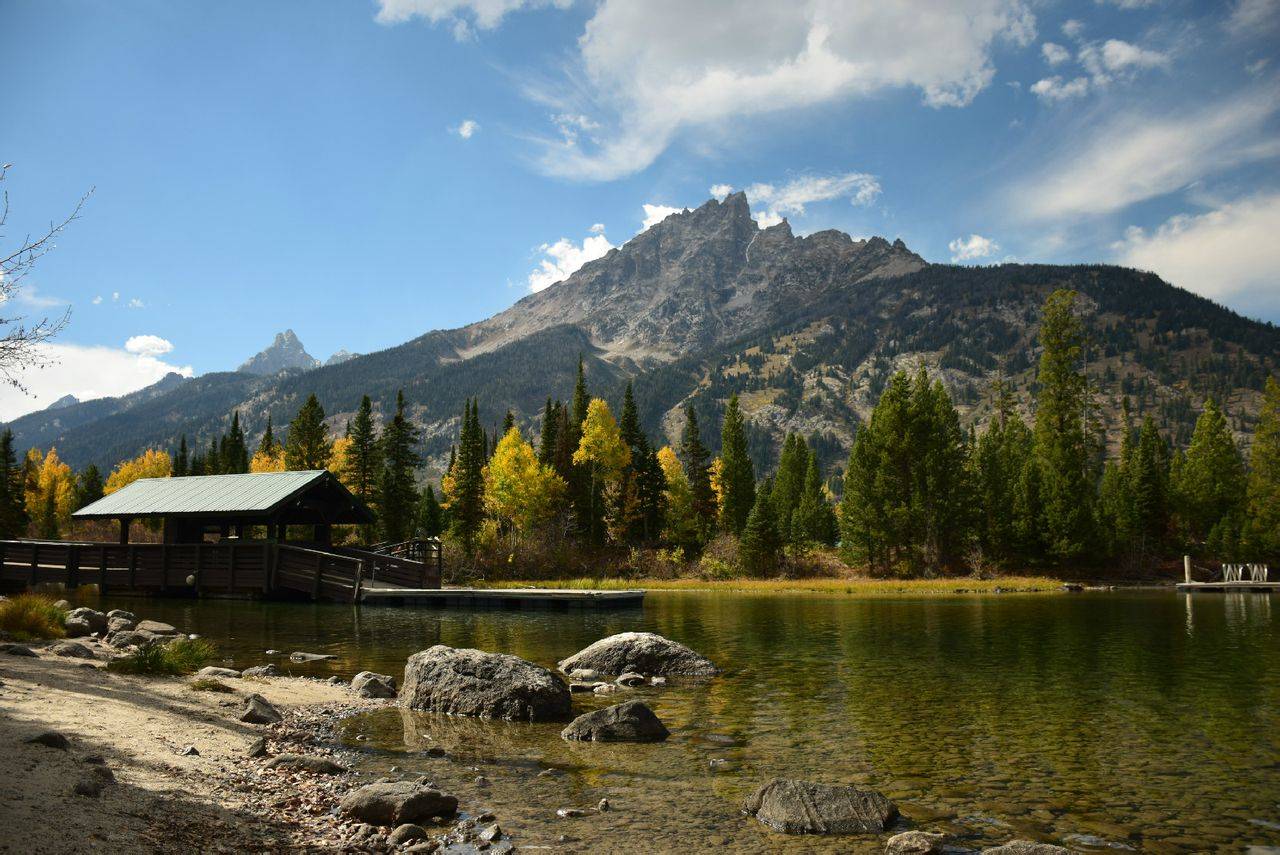 百万粉丝网红被杀，凶手竟是男友？_搜狐网