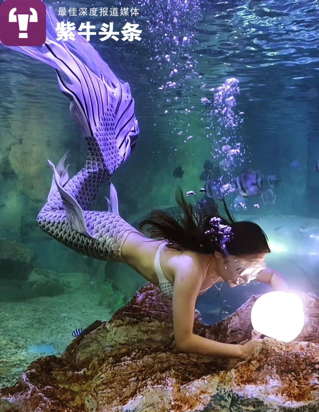 的回忆,事件发生在2023年6月,当时她正在准备参加中国美人鱼公开赛