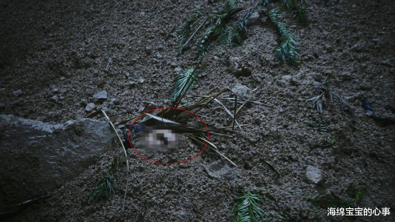 《乌云之上》的播出告诉观众:实力不强的导演,千万别碰悬疑剧!