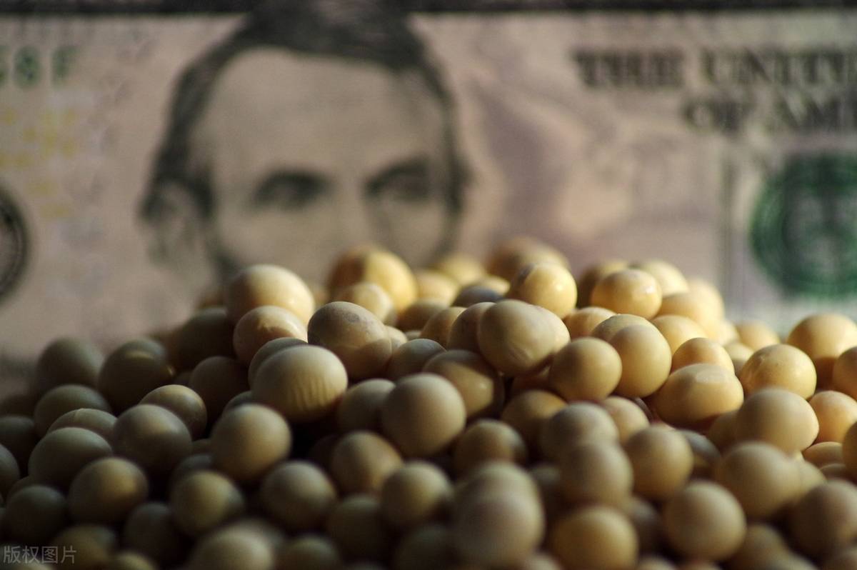 如市场所料，巴西大豆涨了！但没料到的是，美豆也涨了_搜狐网