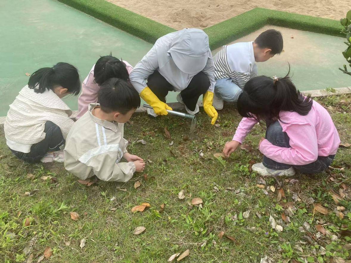 春日除草忙,劳动促成长