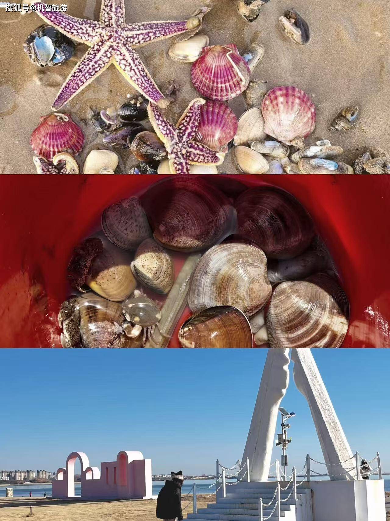 假期日照万平口之行美食与海鲜大揭秘