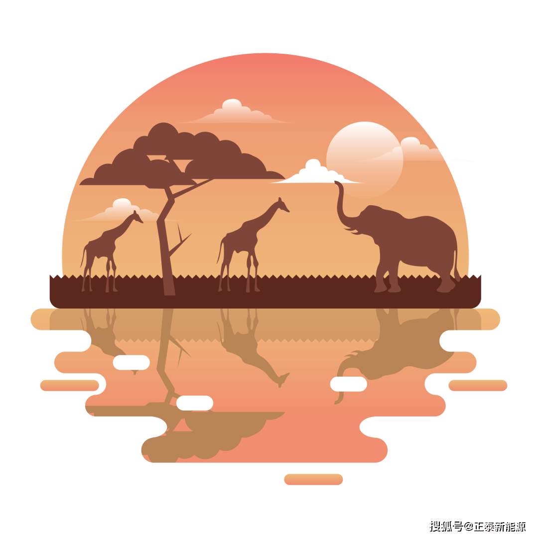 蓝色"光合作用",唤醒阳光大陆绿色能源脉动