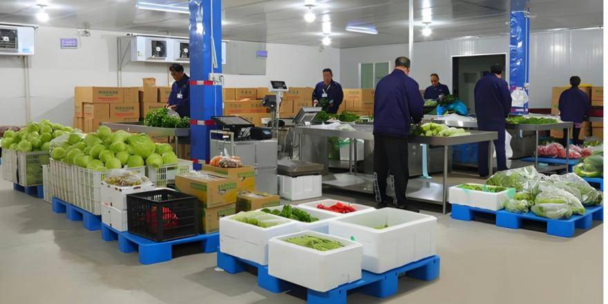 金坛团餐配送行业新风向：便捷服务升级，营养健康并举