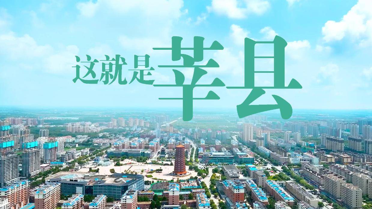 莘县招聘市场动态浅析