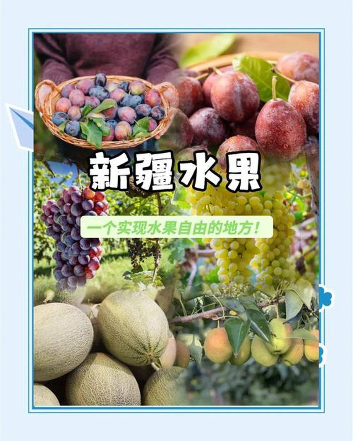新疆旅游瓜果盛宴必尝全攻略