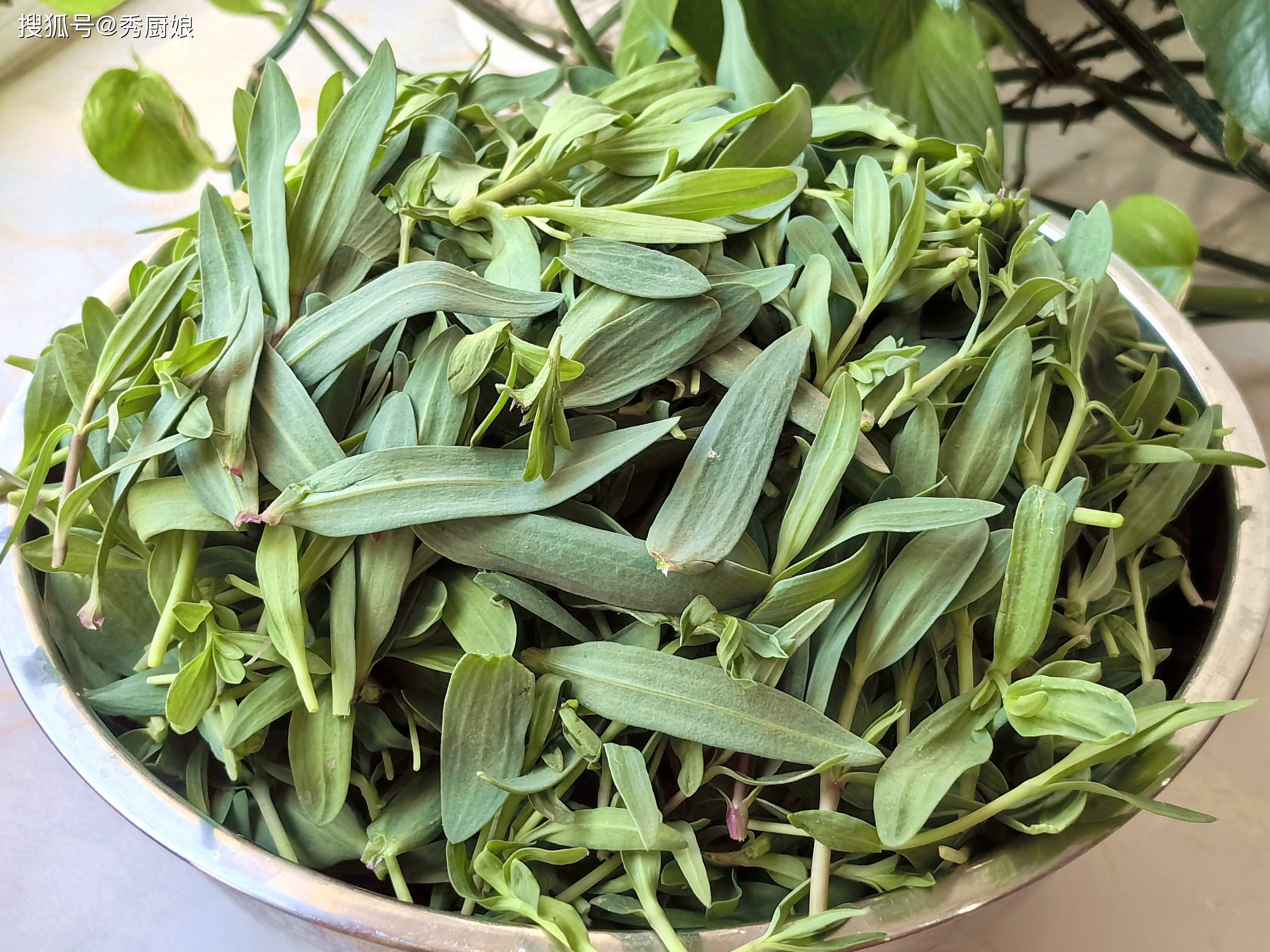 这道菜在四月没有交换，里面充满了宝藏。它比
