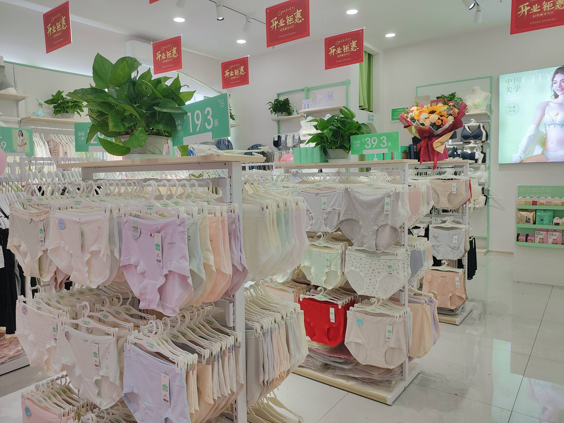 内衣加盟费探秘：加盟市场的新风向标