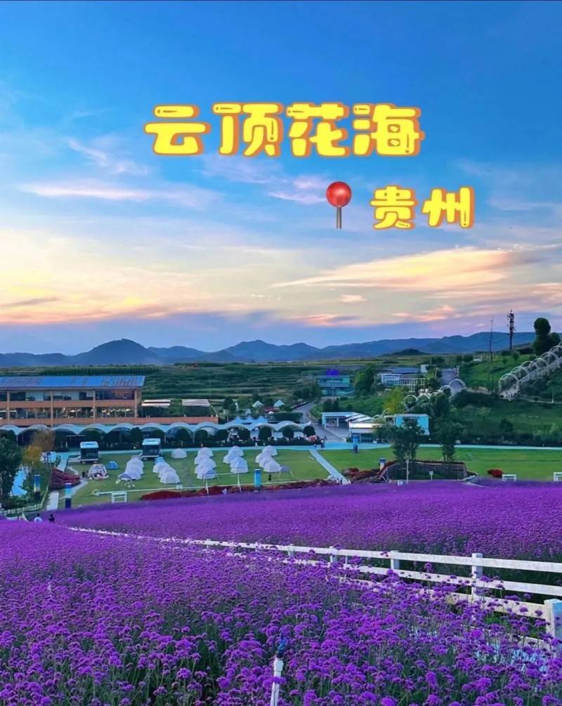 贵阳高坡云顶花海:1600米的上帝调色盘