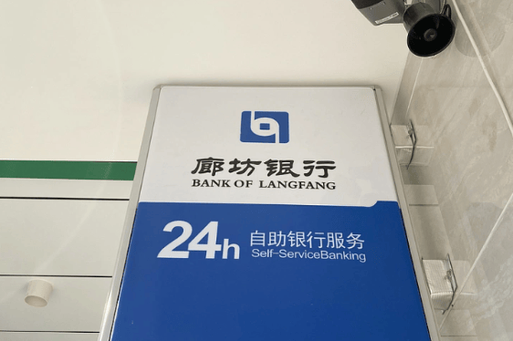 女子起诉廊坊银行借款1.12亿元不还 法院开