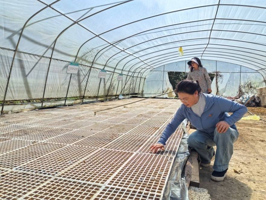 金融活水润巴渝：中国人寿寿险公司创新服务助力乡村振兴纪实