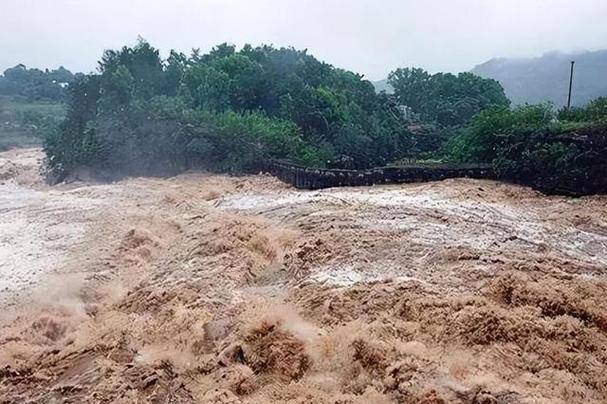 98年特大洪水,那个紧抱大树9小时的7岁女孩,如今已经当官了