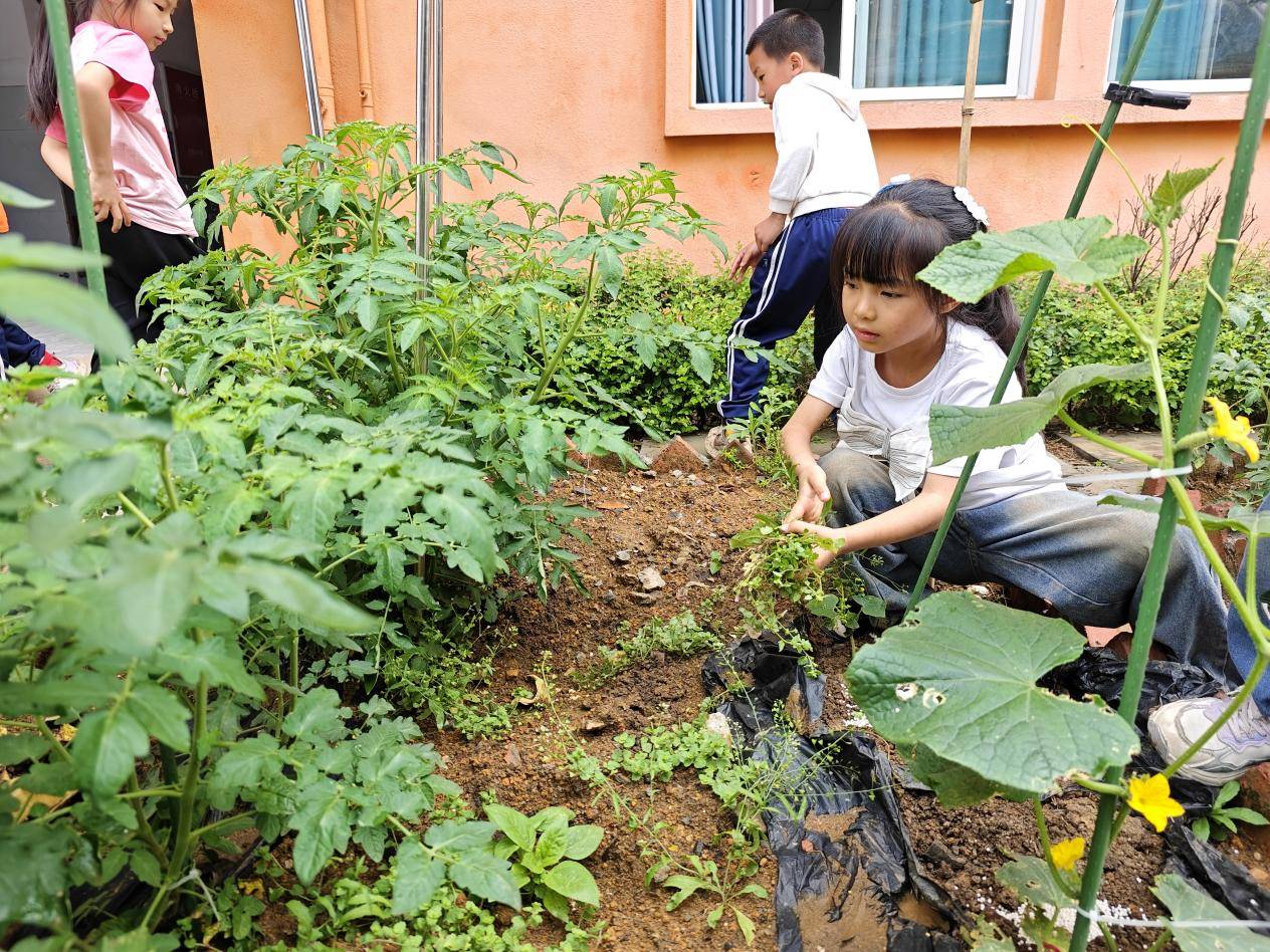 五矿镇中心幼儿园开展除草活动