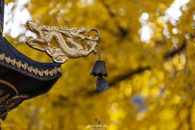 原创            一个人的觉醒，通常要经历这9大关！