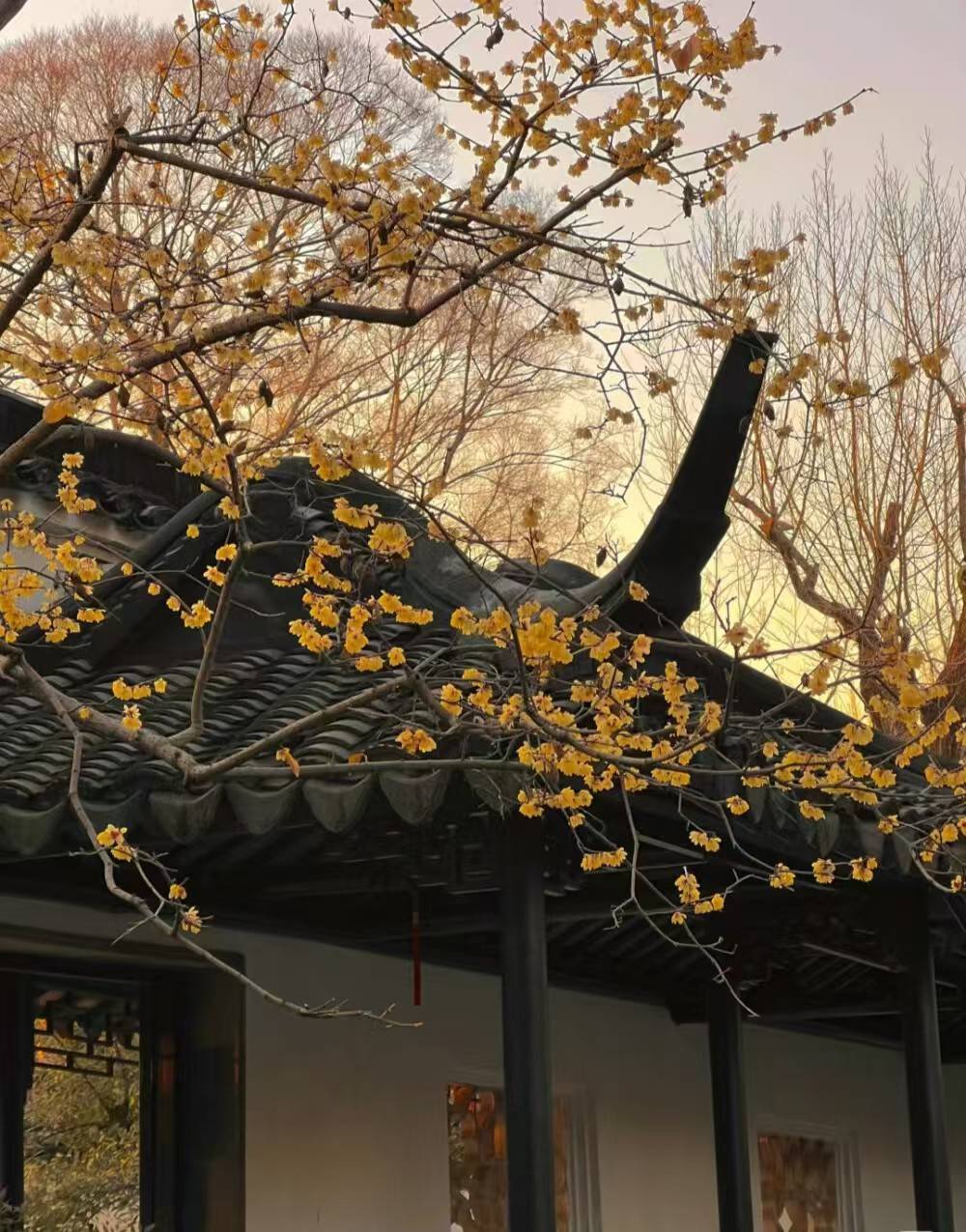 云布集团：古代地动仪工作原理与地震监测智慧