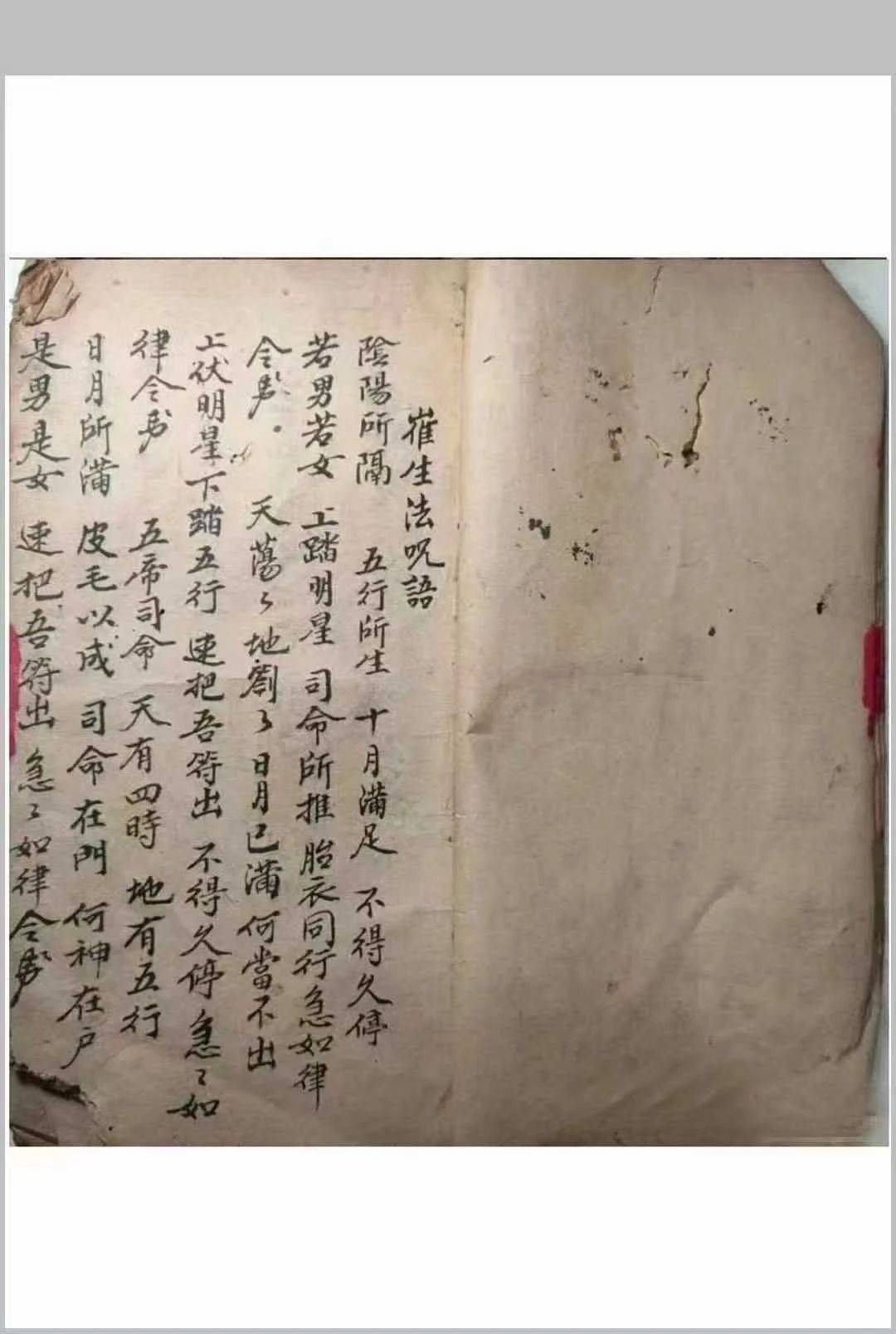 道门仙子录txt全集