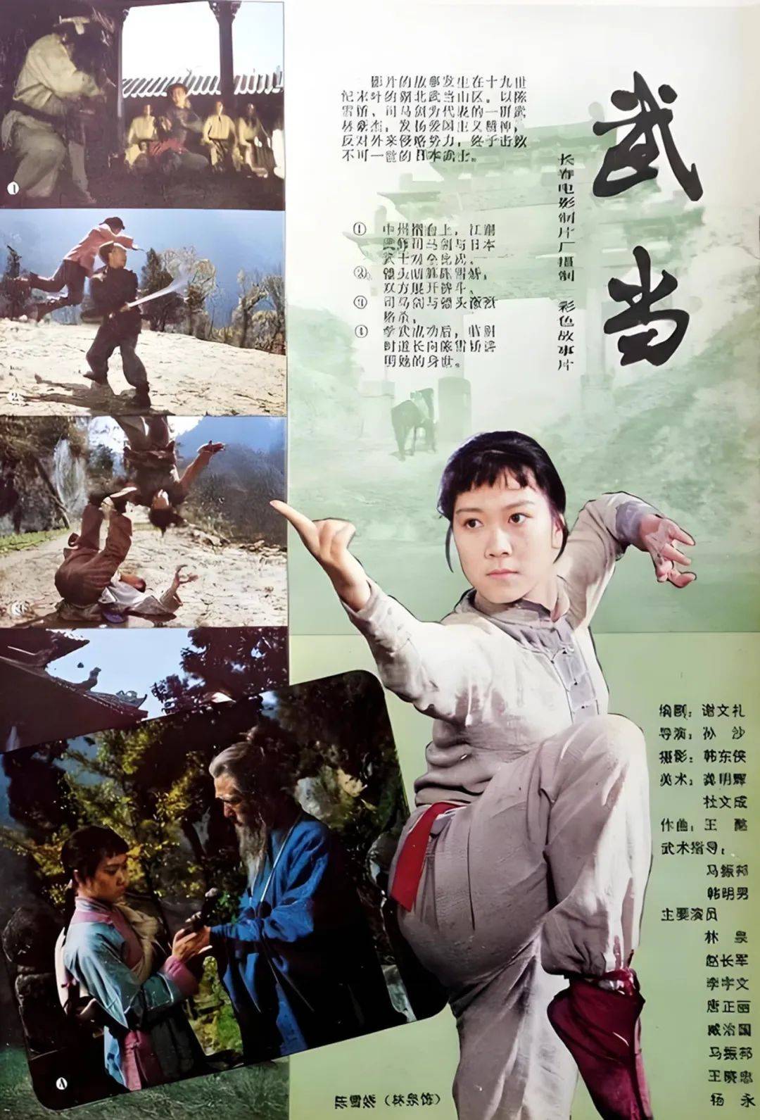 的影响,内地这一年连续上映了好几部功夫片,包括《武当》《武林志》