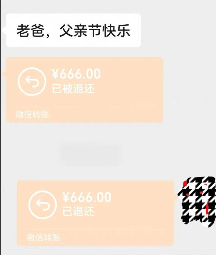 紧接着,一个金额显示为666元的微信转账映入眼帘,我的心瞬间被暖意