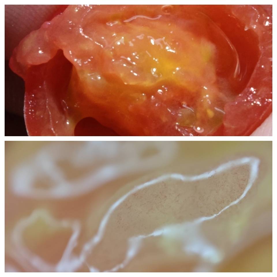 618值得入手的四款性价比好物分享，喜欢可以直接抄作业！