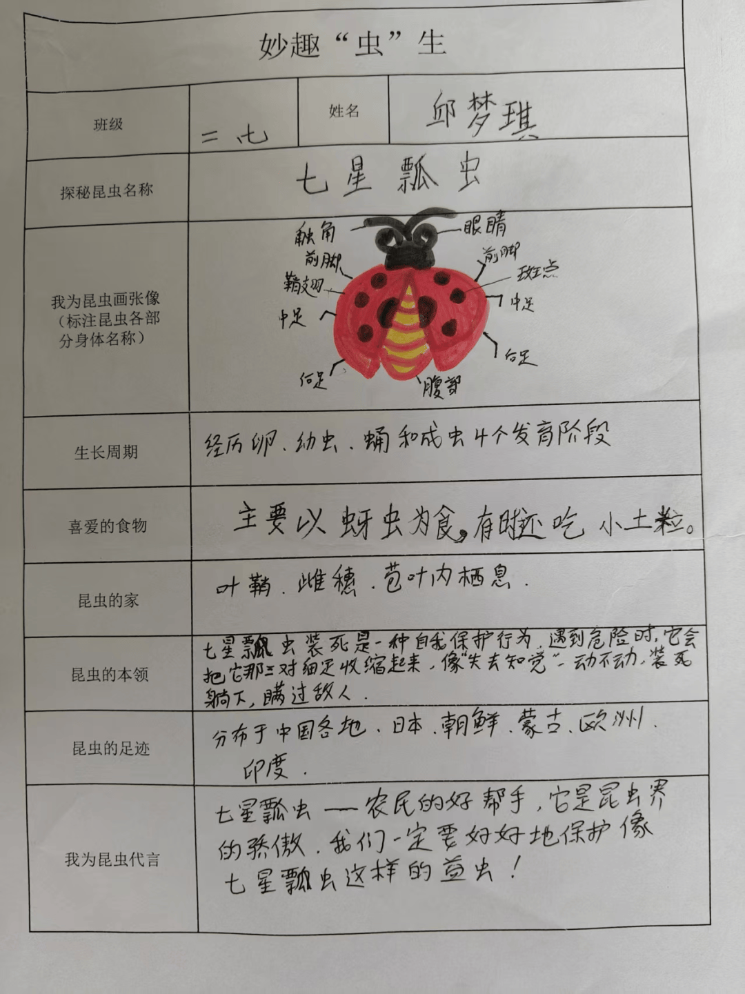 昆虫是地球上数量最多的动物群体,它的身体分为头,胸,腹三部分,成虫