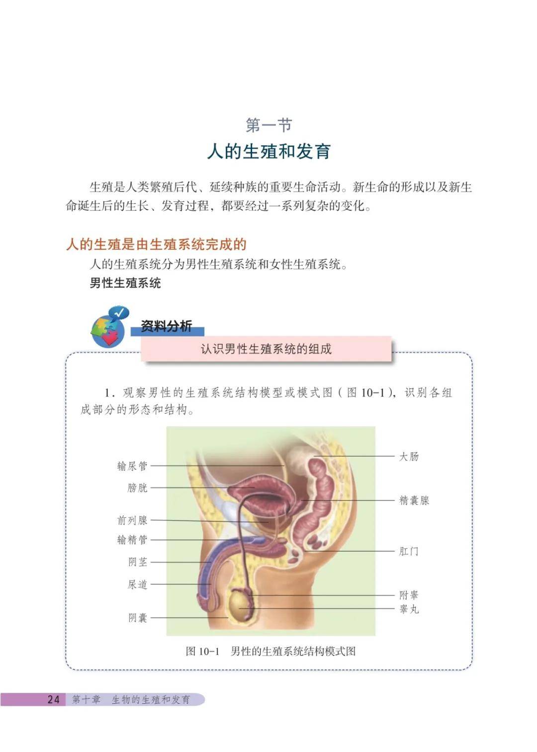 2025秋北京版八年级生物上册电子课本
