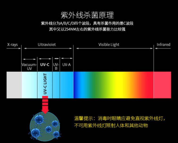 床上除螨仪十大名牌排行榜：精选十大公认好用的除螨仪2025年