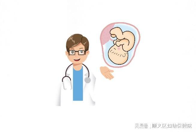 为了“在臀位上“普通”的胎儿，它为怀孕的母