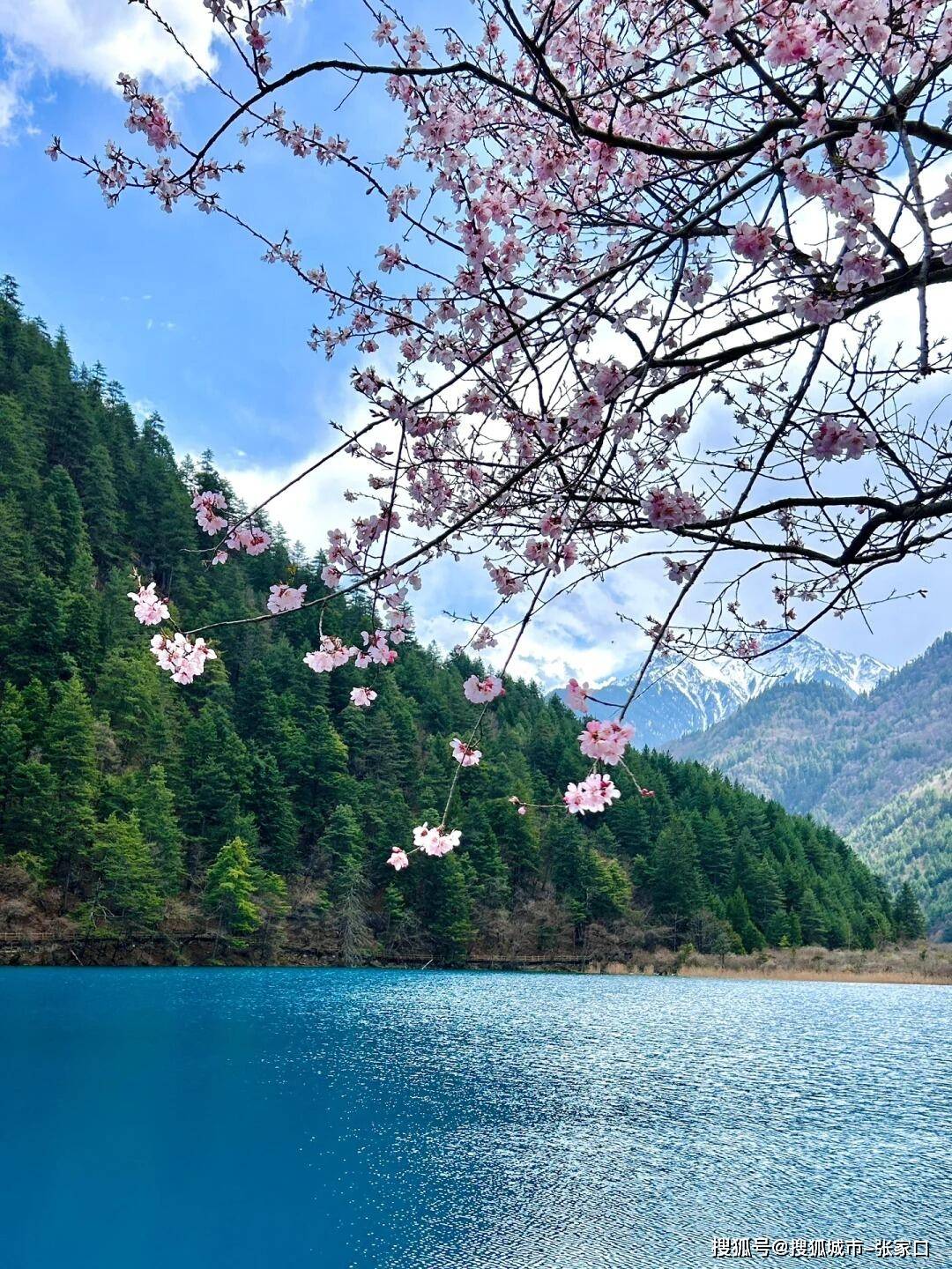 去四川5天4夜旅游花多少钱？此篇带你了解四川预算！