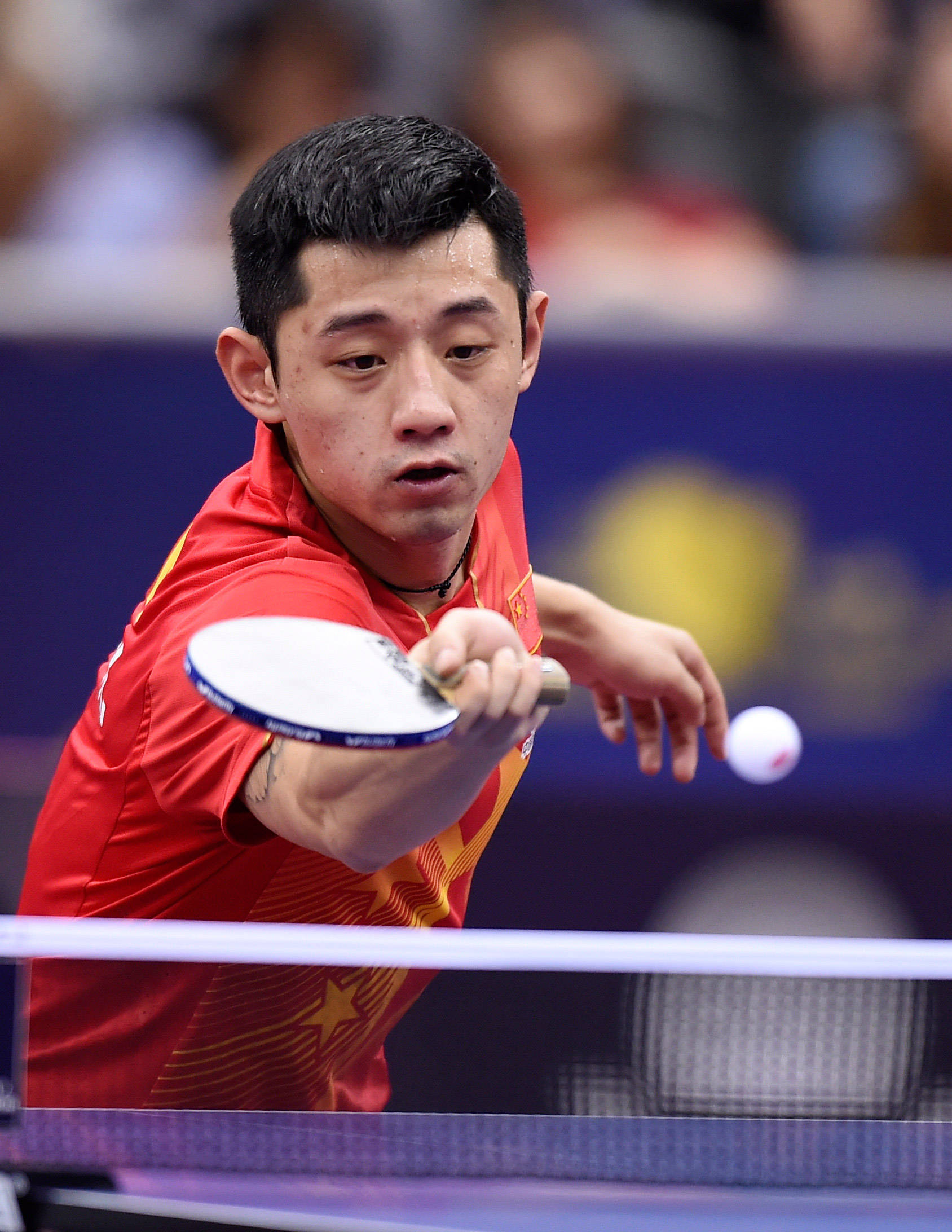 张继科教外国人打球惹争议,顶级教练坐镇帮忙,网友:别泄露机密