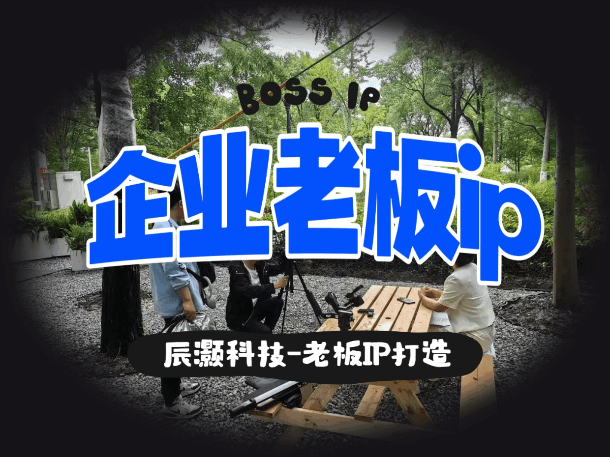 辰灏科技：用“人格算法”拆解创始人IP的复利增长曲线