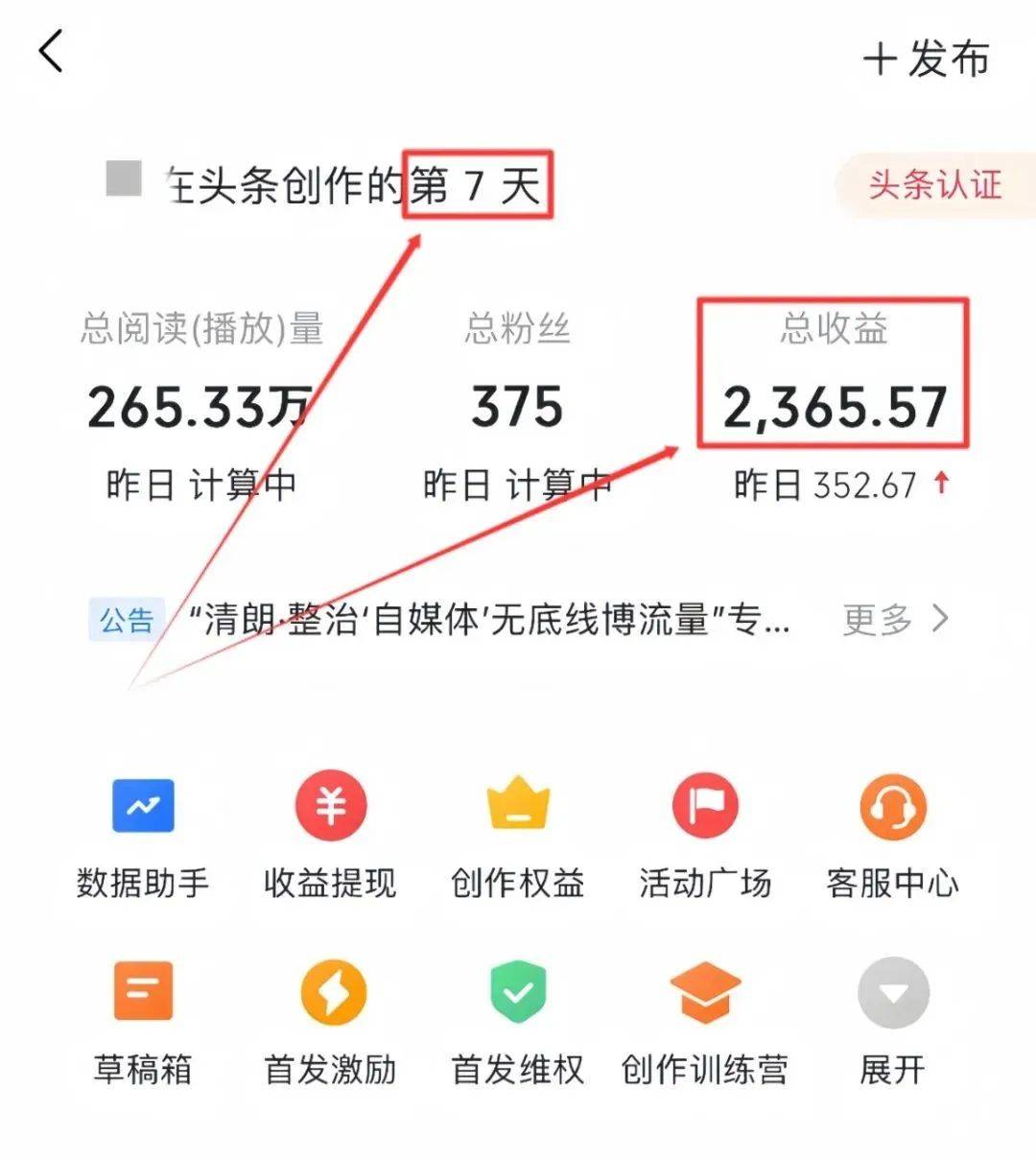 头条写文章和视频那个赚钱(头条发视频和写文章哪个更容易赚钱)