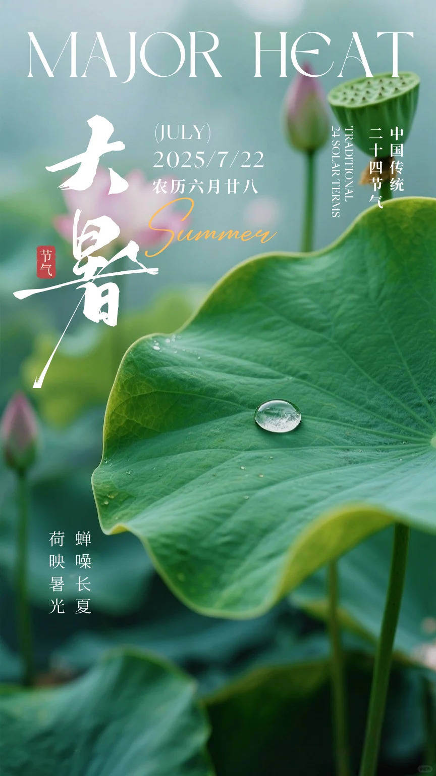 "热晕"了,大暑节气不落俗套的祝福文案