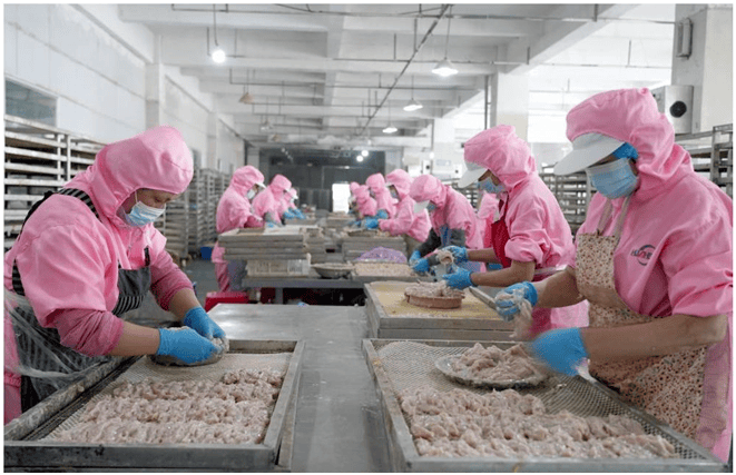 瑞昌宠物食品热销海外,生产加工一线直击!