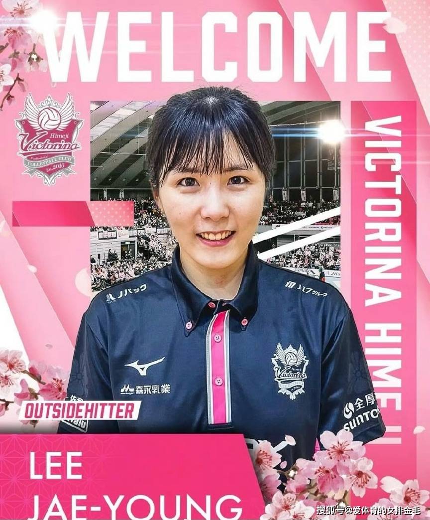 韩国女排名将李在英加盟日本姬路女排，期待复出国家队