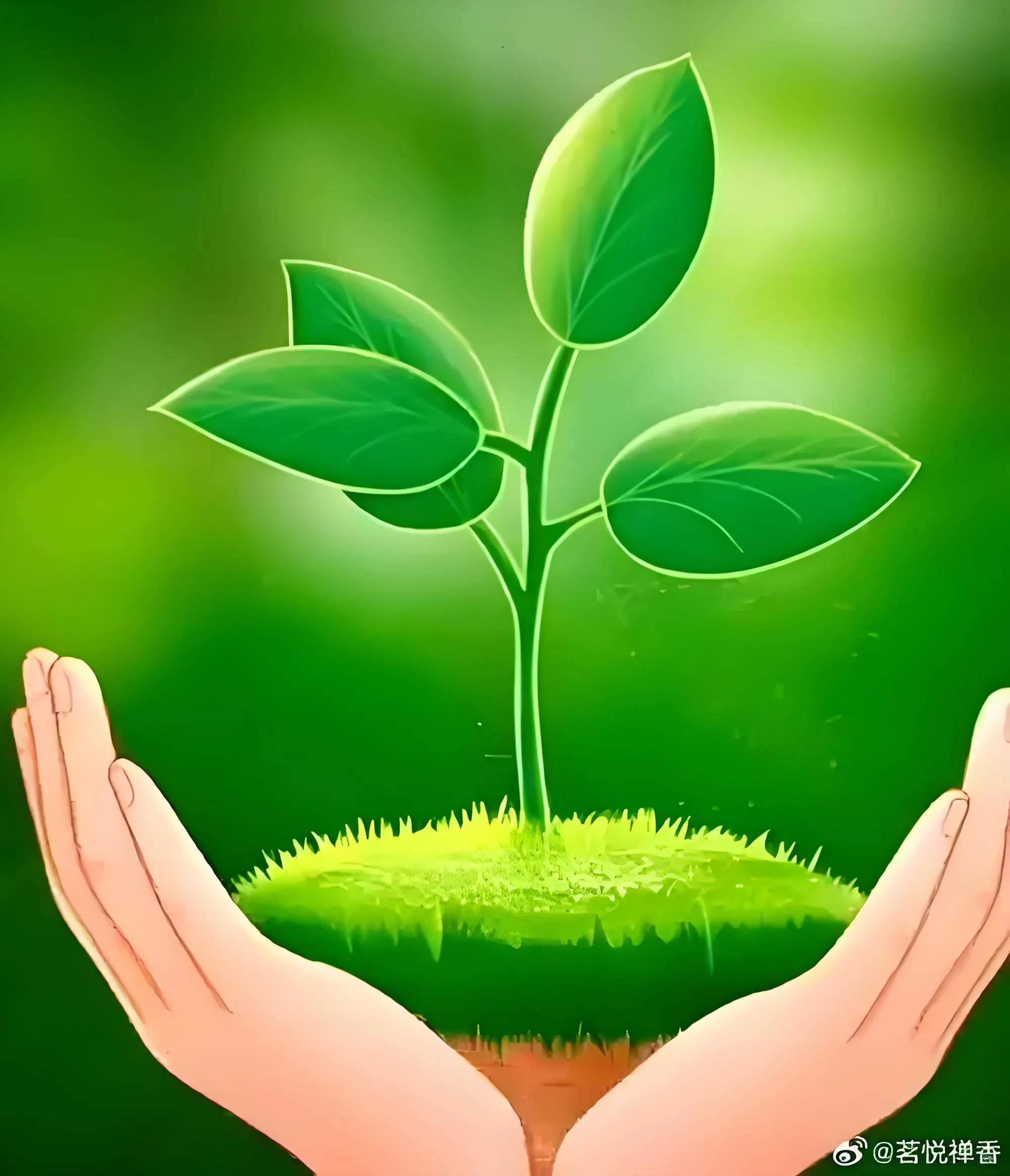 《绿色颂》:一首赞美生命与自然的歌颂