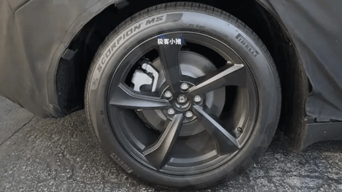 20万内的特斯拉要来了?廉价版Model Y大曝光_搜狐汽车_搜狐网