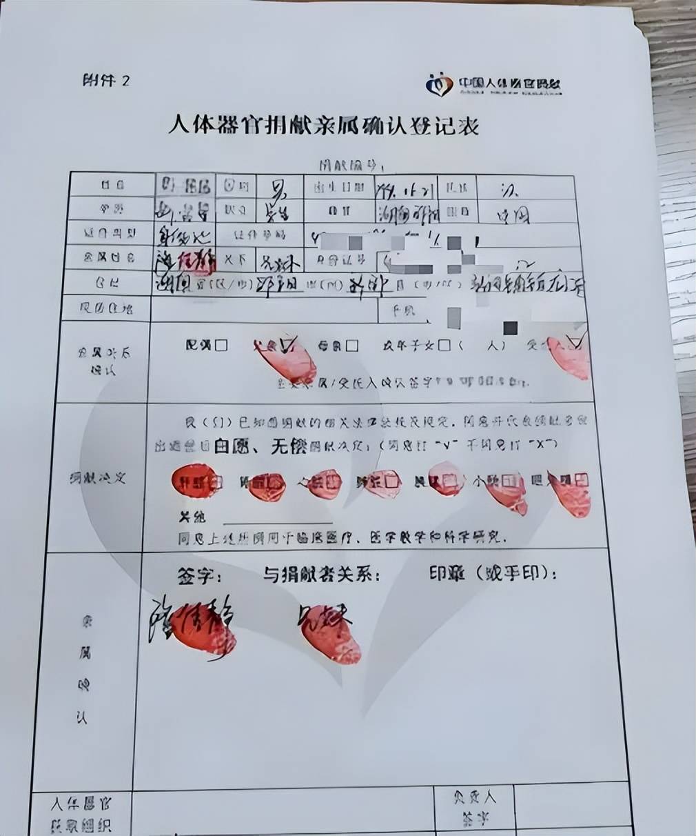 并摘取《中国人体器官捐献登记表》中同意捐献的器官或组织