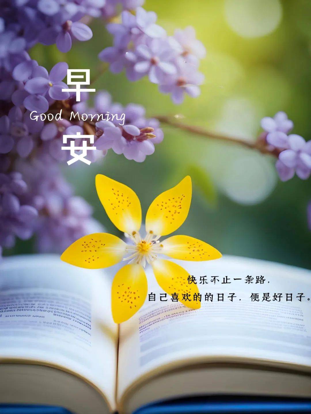 适合早上发的,很新的高情商句子